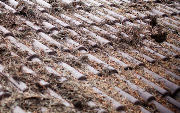 Winyards Gap roof cleaning companies