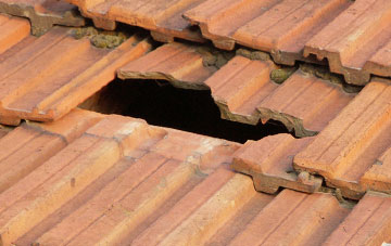 roof repair Winyards Gap, Dorset