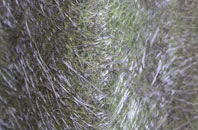 Winyards Gap fibreglass roof work